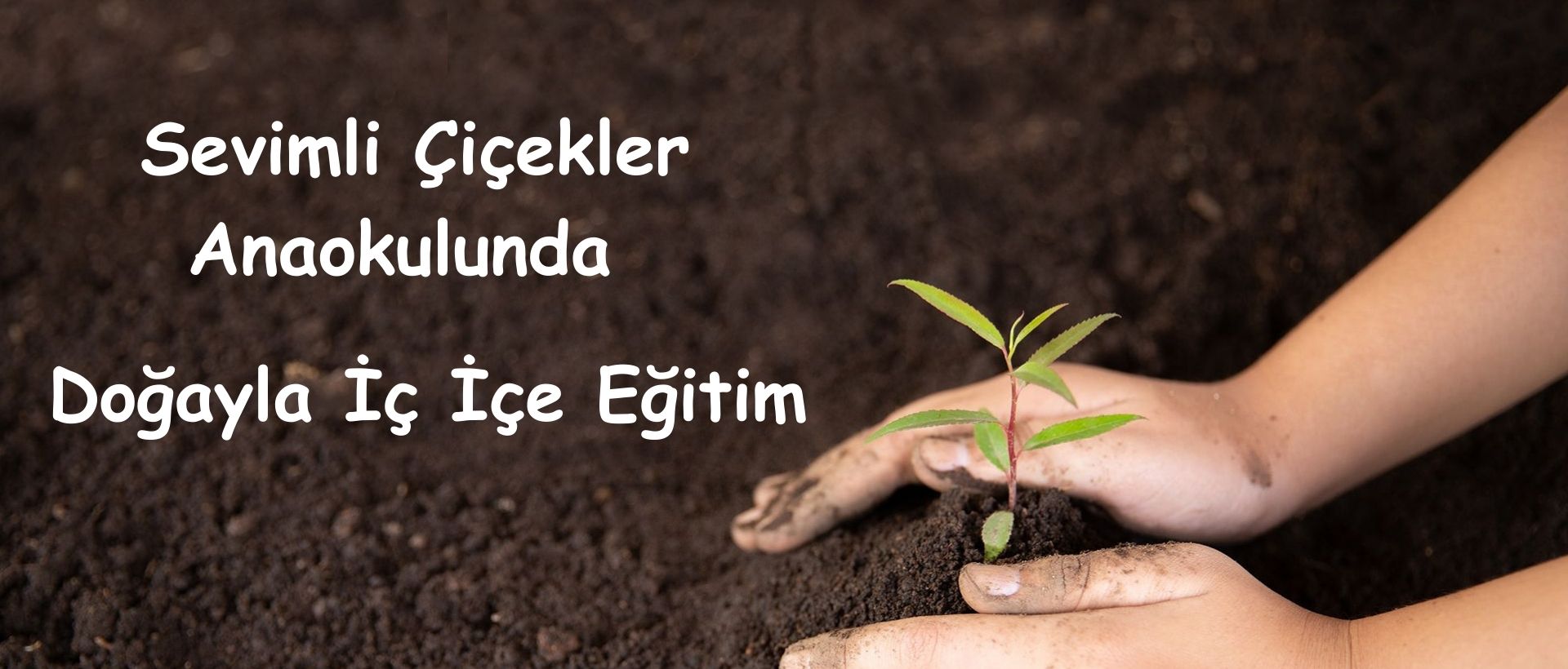 sevimliçicekler-slayt2-image